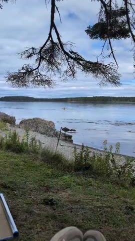 The video shows a tranquil lake with a person in a yellow kayak paddling across the water. The shoreline in the foreground is covered with green grass and rocks. A large tree branch hangs from the top of the frame, obscuring the sky. The sky is cloudy and overcast, with hints of blue peeking through. The water is calm and reflects the sky. The overall atmosphere is peaceful and serene.