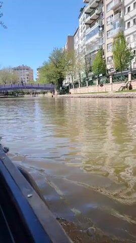 The video shows a serene boat ride along a canal in Eskisehir, Turkey, on a clear, sunny day. The camera is positioned low in a dark-colored boat, with its edge visible in the bottom left corner, suggesting movement through the water. The canal water is a murky greenish-brown, with ripples indicating the boat's progression.

In the mid-distance, a distinctive purple pedestrian bridge spans the canal, with a few people faintly visible walking across it. Beyond the bridge on the left bank, more city buildings and green trees can be seen. On the right side of the canal, a row of multi-story residential buildings with balconies lines the bank. These modern buildings are painted in light colors. The canal bank in front of the buildings is adorned with green trees and a low, decorative wall or railing.

The sky is a bright, clear blue, indicating excellent weather. The scene is well-lit by natural sunlight, creating reflections on the water. No visible text is present in the video.