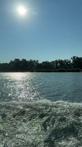 The video shows a view from a boat moving through calm water. The sun is high in the bright blue sky, casting a glare on the water's surface. Trees line the distant shore, creating a dark green silhouette against the horizon. The boat's wake is visible in the foreground, with white foam and disturbed water indicating forward motion. The camera appears to be positioned low, near the water level, looking out towards the landscape. No people or other objects are clearly discernible in the frame. The scene is tranquil and suggests a daytime excursion on a river or lake.