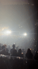 DJ concert draws massive crowd to Paris arena venue