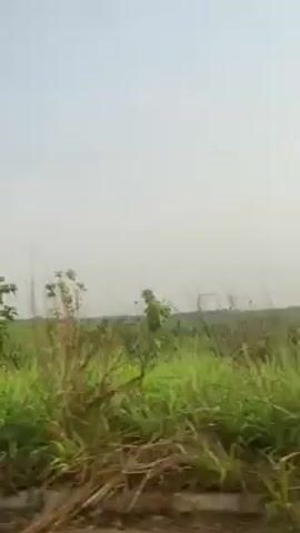 The video shows a view of a grassy field from inside a vehicle. There are some small trees or bushes in the field. The sky is overcast and a light color. The camera seems to be moving, possibly indicating the vehicle is in motion.