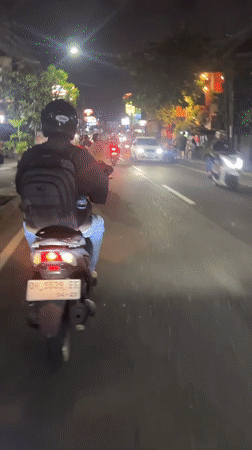 Street traffic and cat grooming captured in Denpasar