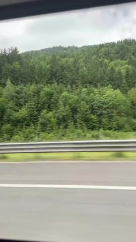 The video shows a view from a moving vehicle, likely a car or bus, looking out a window. The scene is dominated by a dense forest of green trees that stretches up a gentle slope towards a cloudy sky. In the foreground, a highway with multiple lanes and a metal guardrail is visible, indicating the vehicle is traveling on a road. The movement of the vehicle creates a slight blur in the scenery, especially the trees. The overall impression is a journey through a lush, natural landscape on a cloudy day.