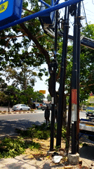 Tree trimming and utility poles on a Semarang street