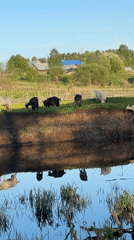Family fishing trip observed in rural Russian village
