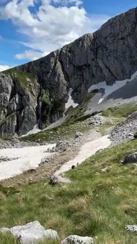A low-angle, handheld vertical video captures a mountainous landscape with patches of snow and green grass. A rocky, grey cliff dominates the upper portion of the frame, with streaks of white snow clinging to its face. The middle ground shows a slope with more snow, some of it stained pink, interspersed with rocks and grass. In the lower right of the frame, a small, dark animal, possibly a chamois or a goat, walks across the grassy slope. The sky above is blue with fluffy white clouds. The overall impression is of a remote, rugged mountain environment.