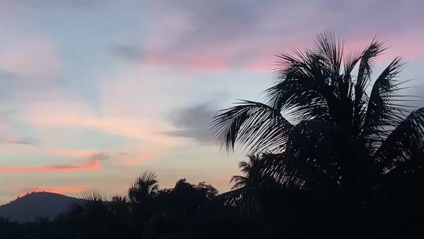 A video clip opens on a silhouetted palm tree against a pastel sky at dusk. The sky is a blend of pale blue, lavender, and streaks of pink clouds. To the left of the frame, a dark, rounded hill is visible on the horizon. The image is still and quiet.