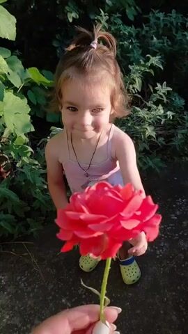 A young girl with light brown hair tied into a small ponytail is in an outdoor setting, likely a garden. She is wearing a pink tank top with a cartoon duck graphic and yellow Croc-style shoes. The girl is holding a single red rose stem with her left hand and looking down towards it with a gentle, curious expression. In her right hand, she holds a few small, delicate white flowers.

The background consists of lush green foliage, suggesting a warm, sunny day. The ground appears to be a paved or concrete pathway, and some darker, rocky ground is also visible. Sunlight filters through the leaves, creating a soft, natural illumination.

The video appears to capture a moment of quiet observation and appreciation for nature, possibly during a sunny afternoon in Vasylivka, Ukraine. The girl's gaze and the gentle way she holds the flowers convey a sense of innocence and wonder. There is no visible text in the media.