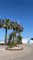 Sochi's Black Sea promenade on a sunny summer morning