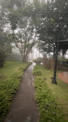 Rainy morning in Đà Lạt: misty gardens and vintage clocks
