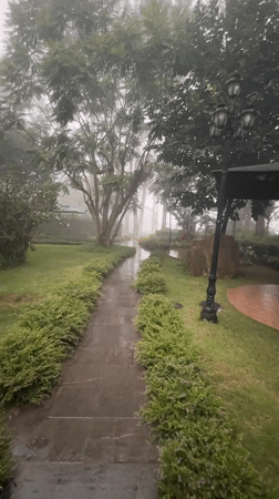 Rainy morning in Đà Lạt: misty gardens and vintage clocks