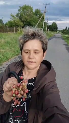 A woman with short, grey hair and a brown jacket walks down a paved road in Bogdashkino, Russia. She holds a small bunch of red berries in her right hand, bringing them closer to her mouth as she walks. The woman is wearing a black and white patterned top and has a necklace on. She winks at the camera. The road is lined with green grass and trees, with a fence visible on the left side. In the background, there are power lines and more trees, suggesting a rural or semi-rural setting. The sky is cloudy, indicating it might be late afternoon or early evening. The overall mood seems relaxed and pleasant.
