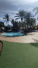 Tropical resort scenes captured by witnesses show pools, palms