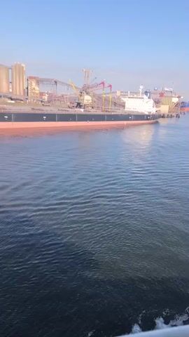 The video shows a wide shot of a harbor with a large cargo ship docked. The ship has a red hull and a white superstructure. There are cranes and industrial buildings on the shore behind the ship. The water is calm with small ripples. The sky is clear and blue. The camera appears to be moving slowly to the right.