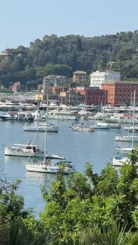 This is a vertical, eye-level video of a harbor filled with numerous sailboats and motorboats. The water is a calm, deep blue, reflecting the clear sky. In the background, a hillside is covered with lush green trees and dotted with buildings of various colors, including red, orange, white, and beige. Some of the buildings appear to be hotels or residences. The boats are docked and anchored, with some people visible on deck. The foreground is partially obscured by the leaves of trees and palm fronds, suggesting the viewpoint is from a higher elevation overlooking the harbor. The lighting indicates it is daytime, likely late morning or early afternoon, with bright sunlight casting soft shadows. There are no discernible interactions between people, and the overall atmosphere is peaceful and serene.