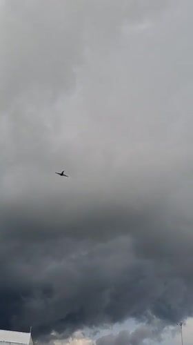 Overcast morning stroll near Saint Petersburg's highway corridors