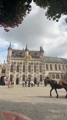Horse-drawn carriages circle Bruges' Markt square on a summer afternoon