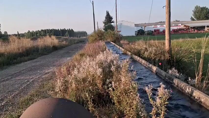 The video opens with a view of a concrete irrigation channel filled with flowing water. Tall, dry grass and some blooming purple flowers line the edges of the channel. To the left of the channel, a dirt road runs parallel. In the distance, a white building with a red roof and some farm equipment, including tractors, are visible. The sky is clear and bright, suggesting it is daytime. As the video progresses, the camera pans to the right, showing a paved road in the distance. Trees line the far side of the road. The sun is low in the sky, casting a bright glare that makes it difficult to see details in the distance, and causing lens flare. A house with a sloping roof is silhouetted against the sun. Traffic signs are visible, including what appears to be a "STOP" sign. The overall impression is a rural landscape during sunrise or sunset.
