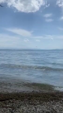 The video shows a lake beach on a sunny day. The water is calm with small waves lapping at the pebbled shoreline. A branch of a tree hangs overhead, partially obscuring the view. The sky is blue with scattered clouds.  In the distance, a faint line of land can be seen across the water. A bird flies across the sky.