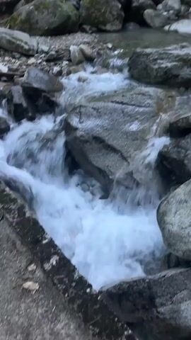 The video shows a fast-flowing stream in a rocky, wooded area. The water is white and foamy as it rushes over smooth, grey rocks of various sizes. The banks of the stream are lined with more rocks and some greenery. In the background, trees with green foliage are visible, suggesting a temperate forest environment. The lighting appears to be natural daylight, possibly overcast or during the early morning or late afternoon, as the scene is somewhat dim. There are no people or animals visible in the video. The camera is positioned close to the water, looking downstream, and the movement of the water is the primary focus.