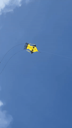 Stunt kite flies over tropical beach in Weligama, Sri Lanka