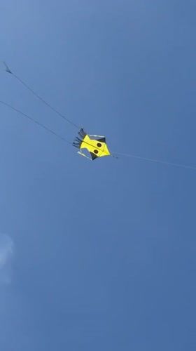 Stunt kite flies over tropical beach in Weligama, Sri Lanka