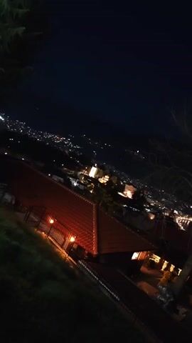 The video shows an out-of-focus nighttime scene from an elevated position. In the foreground are rooftops with orange-red tiles and lights, suggesting a building or buildings. A leafless tree stands to the right, its branches silhouetted against the night sky. In the distance, there is a city skyline with numerous lights, indicating urban development. The sky is dark, suggesting it is late at night. The camera moves slightly, causing the blurry lights to streak and shift position. The overall impression is one of a dimly lit and somewhat unsteady view of a city at night.