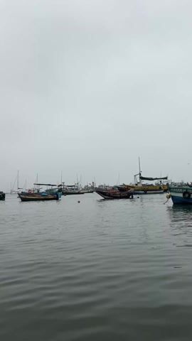 The camera pans right across a harbor of fishing boats on a gray day. The water is rippled. Many boats are in the distance. A yellow boat and then a blue boat come into view on the left. The blue boat is marked "COLCORPA LOS TONYS DOMINIKA" in faded white letters. A black cross appears, attached to the yellow boat. The scene ends.