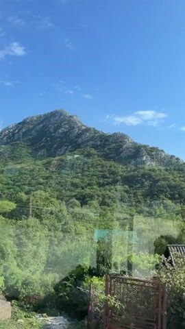 This video offers a scenic view from a moving vehicle, likely a bus, looking out through the window. The primary subjects are the natural landscape and the interior of the vehicle.

The scene is dominated by a large, rugged mountain that takes up a significant portion of the upper frame. The mountain is covered in dense green vegetation on its lower slopes, transitioning to rocky, barren terrain towards its summit. The sky above is a vibrant, clear blue with a few wispy white clouds, suggesting fair weather. The time of day appears to be mid-morning or early afternoon due to the bright sunlight casting distinct shadows.

In the foreground and mid-ground, lush green foliage and trees are abundant, indicating a warm climate and likely spring or summer. Partially visible amidst the greenery are a few man-made structures: a small building with a light green roof and white walls, and a utility box with red and yellow markings. The utility box has some visible text, but it's too blurry to be legible.

The interior of the vehicle is visible in the bottom right corner, with a grey panel and a red and black emergency hammer mounted on the wall. A small black hook is also visible below it. The presence of these objects, along with the reflection on the window and the slightly blurry, fast-moving scenery, confirms the perspective from within a moving vehicle.

The overall mood is tranquil and captures the beauty of a natural landscape from a journey. The location is identified as Mišići, Montenegro, which aligns with the mountainous terrain and coastal vegetation often found in that region. No people are explicitly visible in the frame.