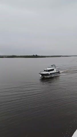A modern motor yacht, painted white with a dark blue hull stripe, cruises across a calm, dark body of water. The boat is moving from left to right in the frame, leaving a white wake behind it. The sky is overcast and a band of trees lines the distant shore. The overall lighting is dim and diffused, suggesting a cloudy or early morning/late evening setting.