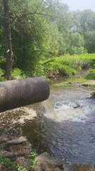 Water discharge pipe creates bubbles in wooded Russian stream
