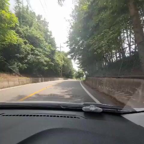 The video shows a first-person perspective from inside a car driving on a paved road. The road curves to the left and is bordered by a concrete retaining wall on the right and a lush green hillside with trees on the left. Power lines are visible along the hillside. The sun is shining, casting light and shadows. The car's dashboard is visible in the foreground, including the windshield and wipers.