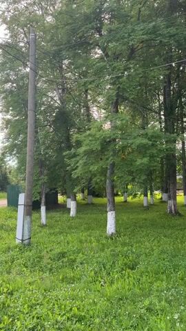 This media file captures a serene outdoor scene, likely in Moshenskoe, Russia, during what appears to be a late afternoon or early evening due to the soft, diffused lighting. The weather seems pleasant, with a clear sky suggesting a calm day.

The central subjects are a collection of trees, with their trunks painted white at the base, a common practice in some regions for pest control and aesthetics. The trees are a mix of deciduous types, displaying lush green foliage, indicating it's summertime or late spring. The ground is covered in a thick carpet of vibrant green grass, dotted with small white wildflowers, adding to the natural beauty of the setting.

In the background, hints of human presence can be observed. A power pole stands on the left side of the frame, with wires stretching across the scene, indicating a rural or semi-rural area with infrastructure. Further in the distance, through the trees, faint structures and possibly a road are visible, suggesting the area is near a settlement or a park.

There are no people visible in the frame, contributing to the overall sense of tranquility and peacefulness. The scene evokes a feeling of quietude and natural charm. No text is visible within the media file.