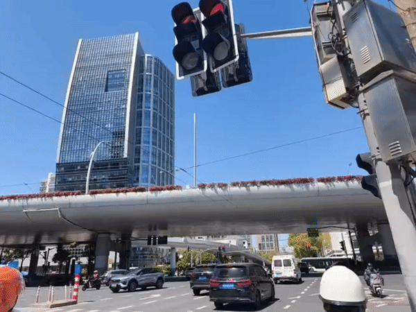 Pedestrian waits at flower-decorated Shanghai intersection during red light