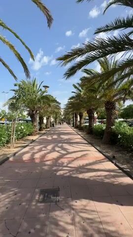 A first-person perspective video shows a walkway lined with palm trees on both sides. The walkway is paved with terracotta-colored tiles and is shaded by the palm trees, casting intricate shadow patterns on the ground. In the distance, a few people are walking along the path. The sky is blue with scattered white clouds. The environment appears to be an urban or suburban area, possibly a promenade or a park, with some buildings and vehicles visible in the background. The camera is moving forward at a steady pace, capturing the length of the walkway.