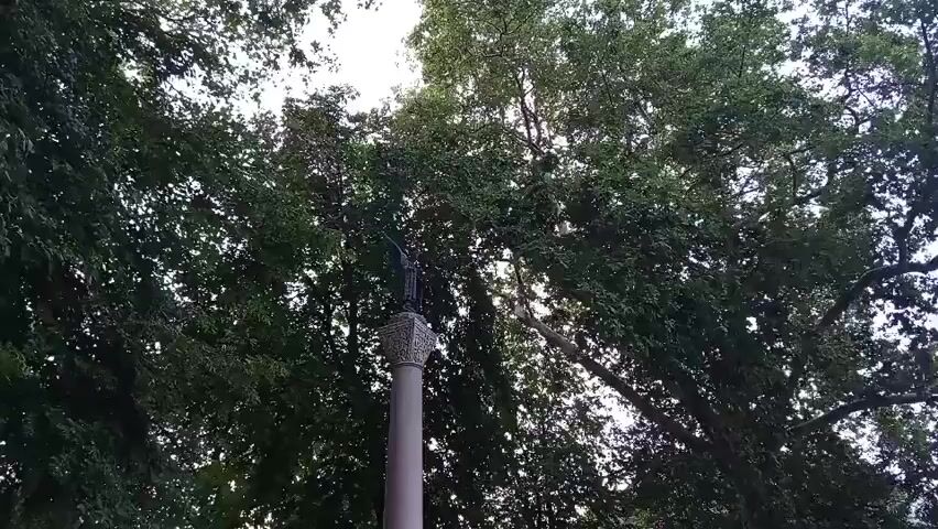The video captures a scene in a park-like setting with a tall column topped with a statue in the center. The column is surrounded by large, leafy trees, and the sky is visible through the branches. A crowd of people, appearing to be tourists, are gathered around the base of the column. Some are taking pictures, while others are looking up at the statue. The ground is paved with large, irregular stones. The overall atmosphere suggests a public space, possibly a monument or historical landmark, being visited and admired by a group of people. The time of day appears to be daytime, with diffused sunlight filtering through the trees. There is no indication of any specific events or activities beyond people observing the monument.