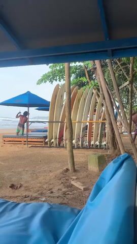 A person wearing shorts stands on a wooden platform near the ocean, holding a paddle. Several surfboards are lined up vertically against a wooden structure to the right. Trees with green foliage are visible behind the surfboards. A blue umbrella is positioned to the left of the person. The ground is covered in sand, and in the foreground, a blue beanbag chair is partially visible. The scene appears to be a beachside area, possibly a surf rental or school. The sky is overcast.