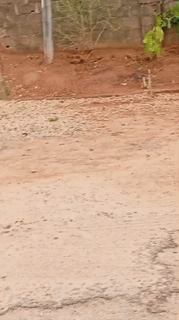 Men carry industrial barrels on dirt roads in Rido