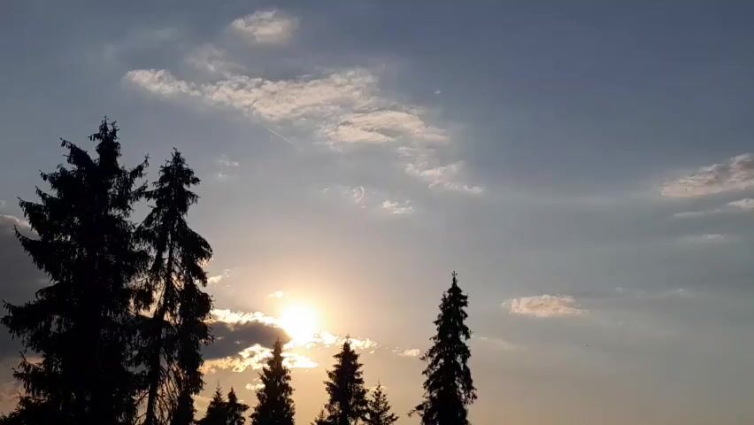 The video is a static shot of a sunset behind silhouetted trees. The sun is partially obscured by clouds and trees, casting a warm glow. The sky is blue with scattered white clouds. The trees are tall and dark, their branches creating a jagged outline against the sky. The overall impression is one of peace and tranquility.