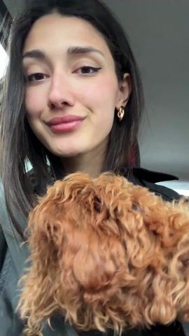 A woman is holding a small, reddish-brown poodle in her lap while sitting in the driver's seat of a car. She is wearing a black jacket over a white shirt and has small gold hoop earrings. She smiles at the camera and the dog yawns, sticking its tongue out. The car interior is visible, including the car's ceiling, a seatbelt, and a red headrest.