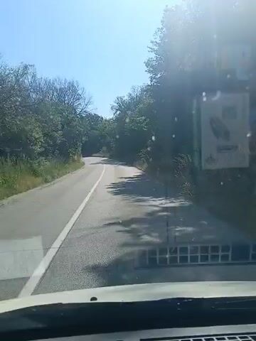 The video shows a view from inside a vehicle looking out through the windshield at a paved road surrounded by trees. The road curves to the left and appears to be going uphill. The sun is shining brightly, casting shadows on the road. There is a white line marking the center of the road. The trees on either side of the road are green and lush. The sky is blue and clear. There is a slight glare on the windshield, indicating that the video was likely filmed on a sunny day.