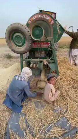 The video depicts an agricultural scene in 'Alaqadari Daman, Afghanistan, featuring a large, green industrial machine, likely a thresher or winnower, in operation. The machine has a prominent tire attached to its side and "BLOWER" written in colorful letters on its main body, with smaller text possibly reading "PAPA JI" below it.

Three individuals are visible. On the left, an adult male dressed in a blue tunic and trousers with a white head covering is crouching, seemingly collecting or sorting the processed grain that is being discharged from the machine. Next to him, a young boy in a light brown tunic and a patterned cap sits on the ground, observing the activity. To the right and partially out of frame, another adult male is seen feeding straw into the machine.

The ground around the machine is covered with loose straw and piles of threshed grain. The scene appears to be set outdoors in a field, with dry, dusty ground and a clear sky, suggesting either late afternoon or early evening. The overall atmosphere is one of focused agricultural labor.