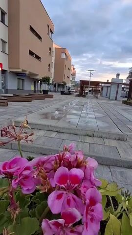 The video shows a shallow fountain in a public square in front of a building. The fountain has a line of small jets of water. In the foreground, there are pink flowers. The sky is cloudy.