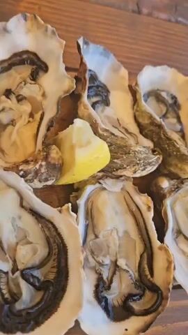 A close-up, top-down shot of a dozen raw oysters served on a wooden platter. The oysters are arranged in two rows on their shells, with wedges of lemon scattered among them. The oysters are glistening and appear fresh, with the dark muscle visible within each shell. The background is a blurry wooden surface, likely a table. The lighting is bright and natural, highlighting the textures of the oysters and lemons. There are no people visible in the frame.