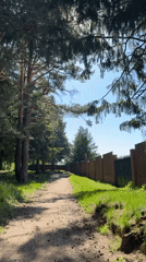 Morning walk captured on wooded dirt path in Votkinsk