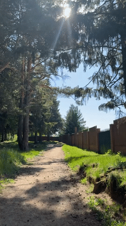 Morning walk captured on wooded dirt path in Votkinsk