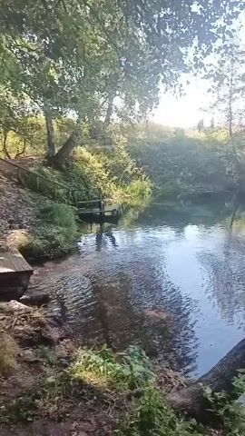 The video shows a serene natural scene with a body of water, likely a river or lake. Lush green vegetation and trees surround the water, with sunlight filtering through the leaves, creating a dappled effect. The water's surface reflects the sky and surrounding foliage. On the left bank, there is a small wooden structure, possibly a pier or a ramp. The scene appears peaceful and undisturbed, evoking a sense of tranquility. There are no visible people in the frame for the majority of the video, but in the last few frames, there are two figures visible in the distance on the far bank.
