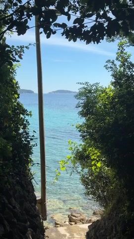 The video shows a view of the ocean framed by lush vegetation and rocky terrain. The scene is viewed through a narrow passage leading down to a small beach.  The water is a clear turquoise color, and in the distance, there is a small island.  A tall, thin pole is centered in the opening, slightly obstructing the view.  The sky is blue with few clouds. The vegetation surrounding the opening is green and leafy.  The ground near the opening is rocky and covered with small pebbles.  No people are visible in the video.