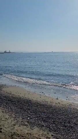 A video shows a pebble beach with gentle waves lapping at the shore. The ocean stretches out to the horizon under a clear, bright sky, with the sun creating a shimmering reflection on the water. In the distance, a few small boats or buoys are visible. The overall impression is a tranquil beach scene on a sunny day.