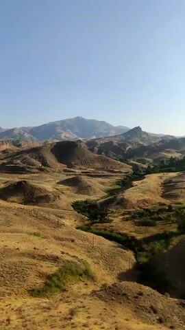 The video shows a wide, panoramic view of a dry, hilly landscape under a clear blue sky. The terrain is characterized by rolling hills covered in dry, golden-yellow grass. In the midground, a narrow valley runs through the hills, with a thin strip of green vegetation indicating a water source, possibly a stream or river. There are scattered trees or bushes along this valley. The background is dominated by larger, more rugged mountains, appearing muted in color due to distance. The overall impression is one of a natural, arid environment. There are no people or man-made structures clearly visible, aside from what appear to be utility poles along the side of a road or path in the midground. The camera appears to be moving slightly, panning across the landscape.